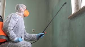 Why You Should Choose Our Mold Remediation Services in Hamilton, TX