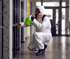 Reliable Hamilton, TX Mold Inspection Solutions